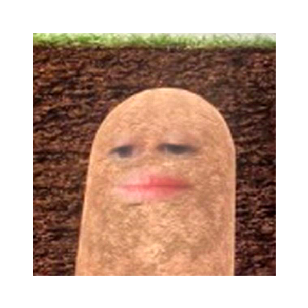 Potato Face App